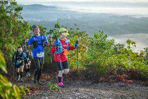 BIB: 2337
                            <button type="button" onclick="openModal(21875699)" class="btn btn-primary btn-sm float-right btn-popup" data-toggle="modal" data-target=".modal-high-quality">
                        <i class="fas fa-shopping-cart"></i> Add to Cart
                    </button>
                                            <button type="button" onclick="isThisMe(21875699, true)" class="btn btn-success btn-sm float-right btn-popup btn-isme hidden" data-toggle="tooltip" data-placement="bottom" title="นี่คือรูปของคุณใช่ไหม คลิกที่นี่เพื่อเอาเข้าอัลบั้ม">
                        <i class="fas fa-plus"></i> Add to album
                    </button>
                    <button type="button" onclick="isThisMe(21875699, false)" class="btn btn-warning btn-sm float-right btn-popup btn-isnotme hidden">
                        <i class="fas fa-ban"></i> Remove from album
                    </button>